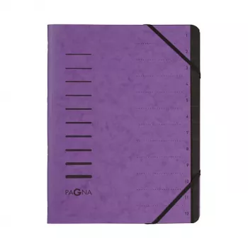 PAGNA asiakirjakansio A4 violetti pysty 5 mm selkä 245 x 320 mm