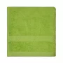 Dyckhoff kylpypyyhe Solid vihreä 70 x 140 cm