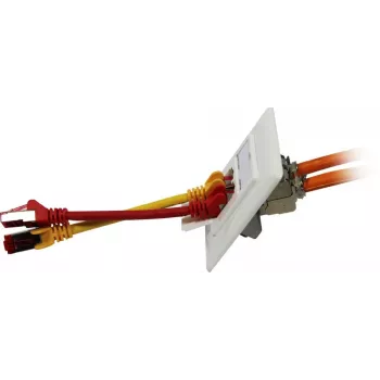 Synergy 21 Keystone-moduulikannatin uppoasennusrasia 2x TP-moduulille, puhtaanvalkoinen, design-yhteensopiva UAE (S216359)
