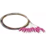 Synergy 21 S215524 kuitupigtail SC OM4 2m 12 kpl:n pakkaus värillinen
