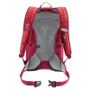 DEUTER AC Lite 17 Cherry-Masala