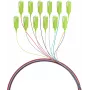 EFB Elektronik kuitu-pigtail SC 50/125 OM5, 12-värinen sarja, 2m