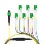 EFB Elektronik MTPF12LCAPC-3 3 m OS2 MTP 12x LC kuitupurku­kaapeli