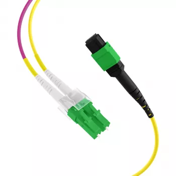 EFB Elektronik MTPF12LCAPC-10 - 10 m - OS2 - MTP - 12x LC