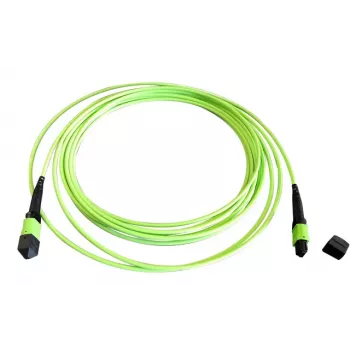 EFB Elektronik MTPF12MTPFOM5-2 2m OM5 MTP-MTP kuitu-patchkaapeli