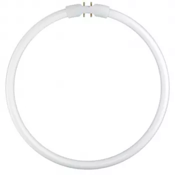Osram T5 FC22W 840 2GX13 pyöreä loisteputki