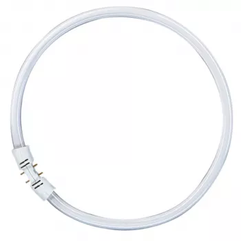 OSRAM LUMILUX T5 FC 55W 865 päivänvalo 2GX13 rengasloisteputki