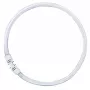 OSRAM LUMILUX T5 FC rengasmainen loistelamppu 55W 865 päivänvalo 2GX13