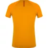 SALEWA Wild Country Session 2 T-paita - Nectar - koko L