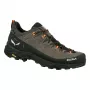 Salewa Alp Trainer 2 GTX vaelluskengät - Bungee Cord/Black - UK 8 (EU 42)
