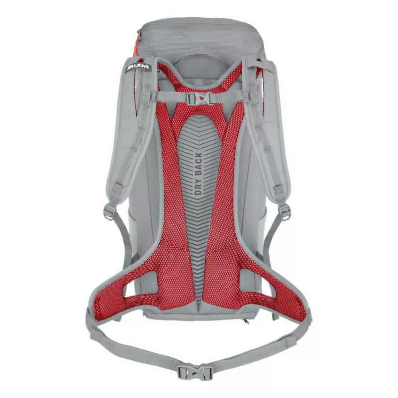 Salewa Alp Mate 30 naisten vaellusreppu - Alloy