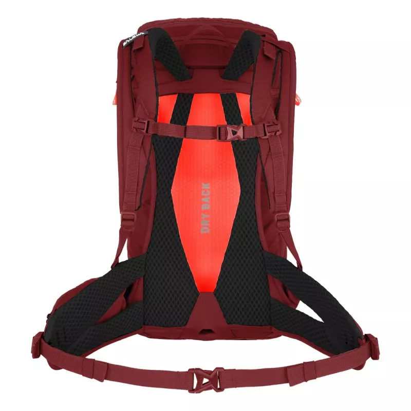 SALEWA Alp Trainer 20 naisten reppu Syrah