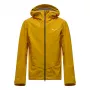 SALEWA Ortles GTX 3L -takki miesten Golden Brown EU 48 M
