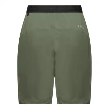 Salewa Pedroc 2 Dst naisten vaellusshortsit - Faded Green, koko M