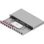 ZVK Easylan kuituliitoskotelo Basic LSB1A114 1U 6x SC-Duplex OM4 RAL7035