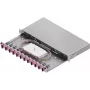 ZVK Easylan LWL -jatkoskotelo Basic 1U 12x SC-Duplex OM4 laatikko musta