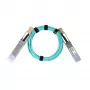BlueOptics Synology QSFP-100G-AOC-2M yhteensopiva AOC QSFP28 Active Optical Cable 2 m