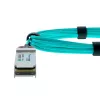 BlueOptics QSFP28-100G-AOC-3M-RU-BO Ruckus yhteensopiva aktiivinen optinen kaapeli 3m