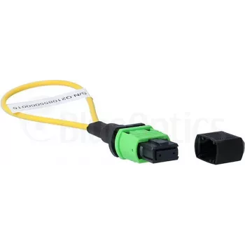 BlueOptics Loopback-adapteri MPO/MTP yksimuotokuitu SM 9/125µm APC keraaminen ferrule