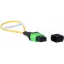 BlueOptics Loopback-adapteri MPO/MTP yksimuotokuitu SM 9/125µm APC keraaminen ferrule