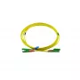 BlueOptics Duplex kuitu-patchkaapeli E2000-APC/E2000-APC OS2 Singlemode 2 m vihreä
