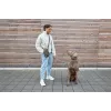 PALOPA 2-in-1 koiran herkkutasku ja pullonpidike Boudi Dark Olive