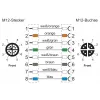 METZ CONNECT 142M2X12020 - 2 m - Cat6a - M12 - M12 - vihreä