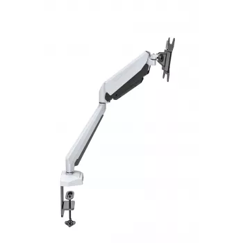 Rockstable RS-MM010W ammattimainen yhden näytön teline - pöytäpuristin/läpivienti - 8 kg - 15-32