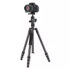 Vanguard VESTA GO 264CB hiilikuitumatkajalusta