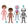 Janod Human Body 50, 75 ja 100 palan opetuksellinen palapelisarja