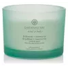 Chesapeake Bay Candle Balance & Harmony suuri tuoksukynttilä 3 sydäntä 312 g