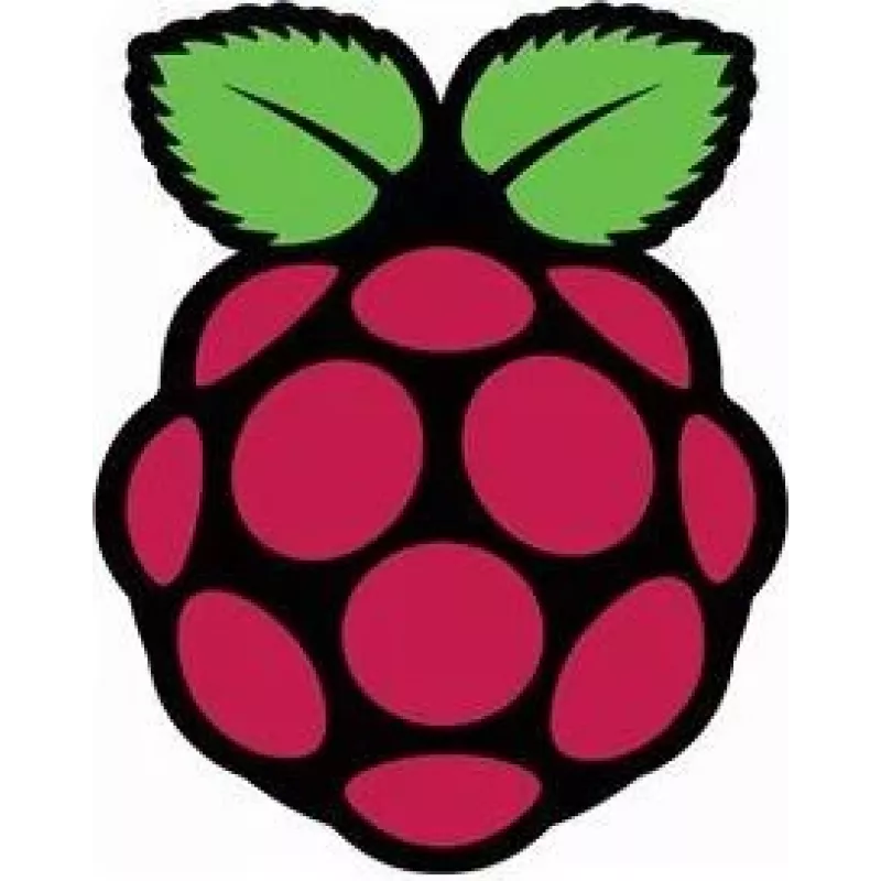 Raspberry Pi Pi - LCD-näyttö - 39,6 cm (15,6 tuumaa) - 1920 x 1080 Full HD (1080p)