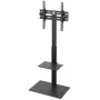 TV- tai monitorijalusta BRATECK-FS22-44TP