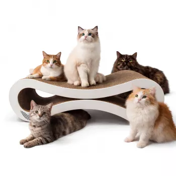 MOZOS KITTY-SPIKE raapimispuu ja makuupaikka kissoille, pahvi, suuri, 86 cm XXL