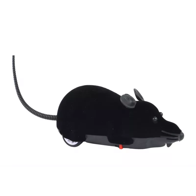LEAN TOYS RC-hiirilelu - tee kepponen!