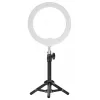 Newell LED-rengasvalo RL-10A Arctic White + jalusta