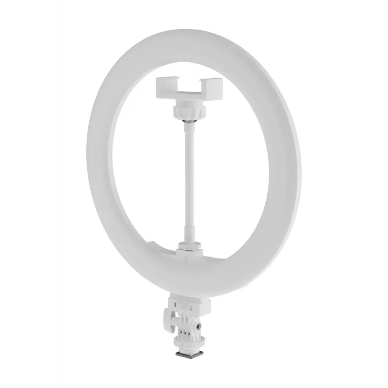 Newell LED-rengasvalo RL-10A Arctic White + jalusta
