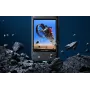 Insta360 X3 näytönsuoja