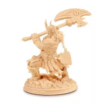 Anycubic Standard V2 1 kg resiini beige