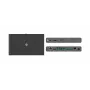 Kramer Electronics SWT3-21-HU-TR 2x1 USB-C/HDMI-kytkinjatko 4K@60Hz HDBaseT 3.0