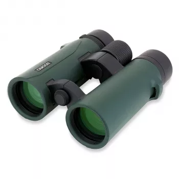 Carson RD 8x42 Kattokiikari