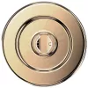 Popsockets Round Radial Gold Aluminum MagSafe -puhelintuki ja -teline kulta 807259