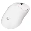 Rampage Clax langaton pelihiiri PAW3311 24000 DPI 1000 Hz valkoinen