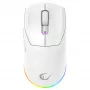 Rampage Prote M5 Pro 26000 DPI RGB LED 1kHz valkoinen pelihiiri