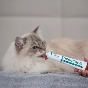 VETEXPERT TrichoCat anti-hairball tahna kissoille 120 g