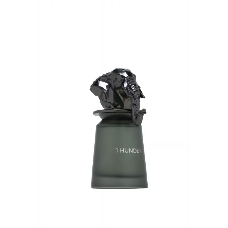 FRENCH AVENUE Thunder Eau de Parfum suihke 100ml