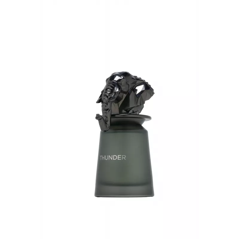 FRENCH AVENUE Thunder Eau de Parfum suihke 100ml