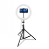 CELLY Ring Professional jalusta valolla - 160 cm, 10 tuuman LED-rengasvalo, USB-käyttöinen, musta