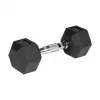 REBEL ACTIVE kumipinnoitetut valurautakäsipainot 2x5 kg