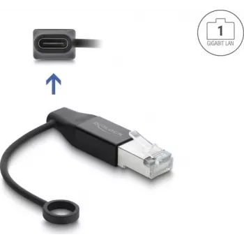 Delock USB Type-C verkkosovitin Gigabit LAN 1 x RJ45 pistoke